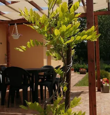 Vyara * Krapets (Dobrich)