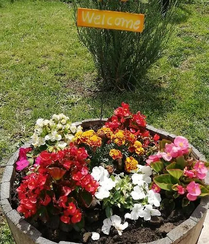 Vyara Krapets (Dobrich)