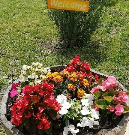 Vyara Krapets (Dobrich)