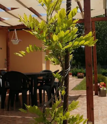 Vyara * Krapets (Dobrich)